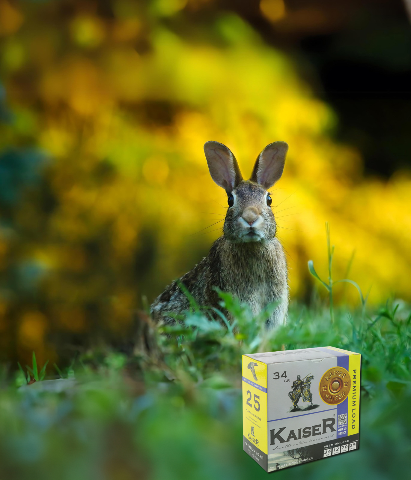 RABBIT HUNTING - Kaiser